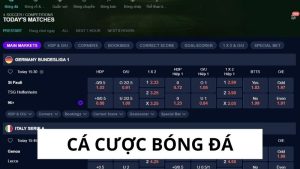 các cược bóng đá