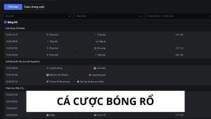 Cá Cược Bóng Rổ