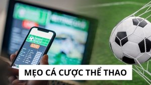 cá cược thể thao